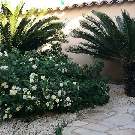 Apartmán Letizia San Leone
